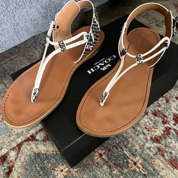 Coach Clarkson snake sandal - Picture 2 of 5